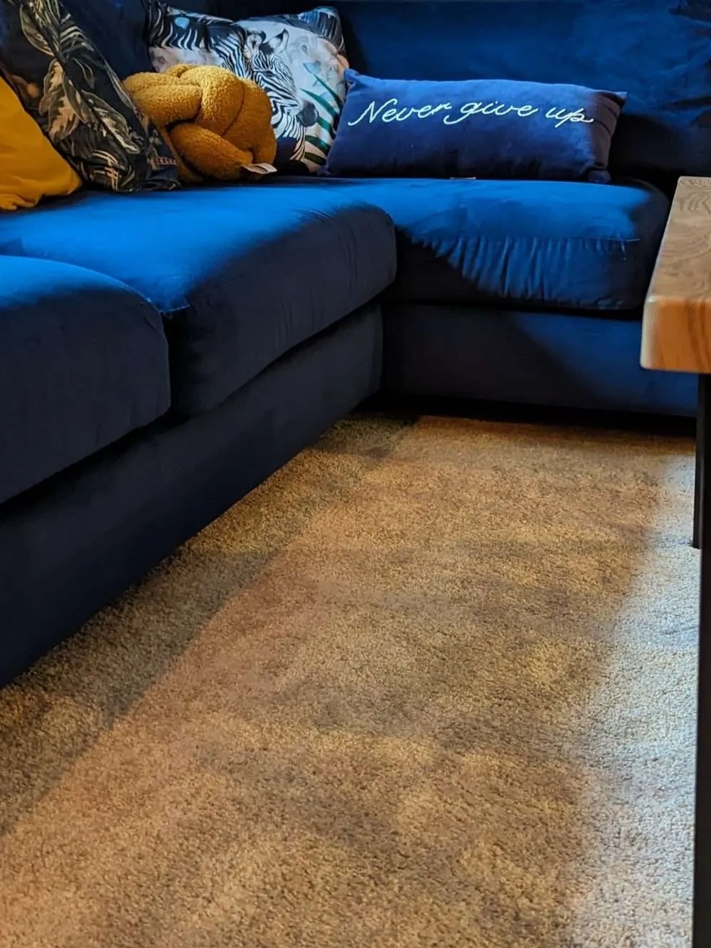 Soft Deep Pile Carpet Installation – Bradford